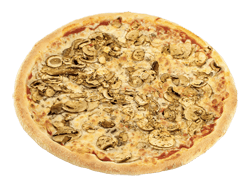 FUNGHI